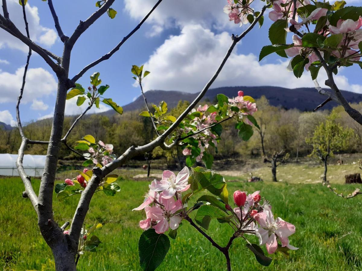Ca Gennara Agri B&B Porretta Terme Εξωτερικό φωτογραφία