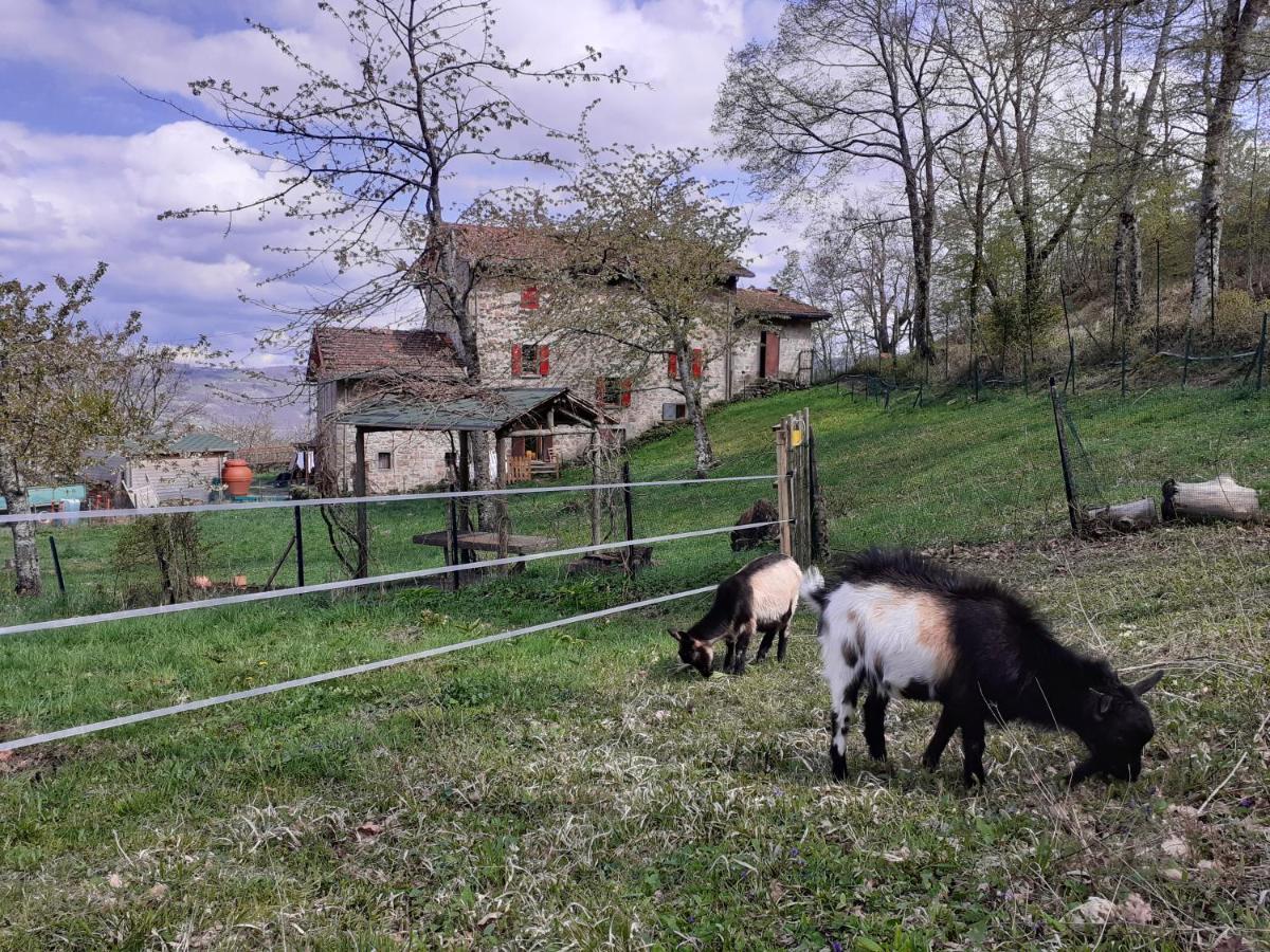 Ca Gennara Agri B&B Porretta Terme Εξωτερικό φωτογραφία
