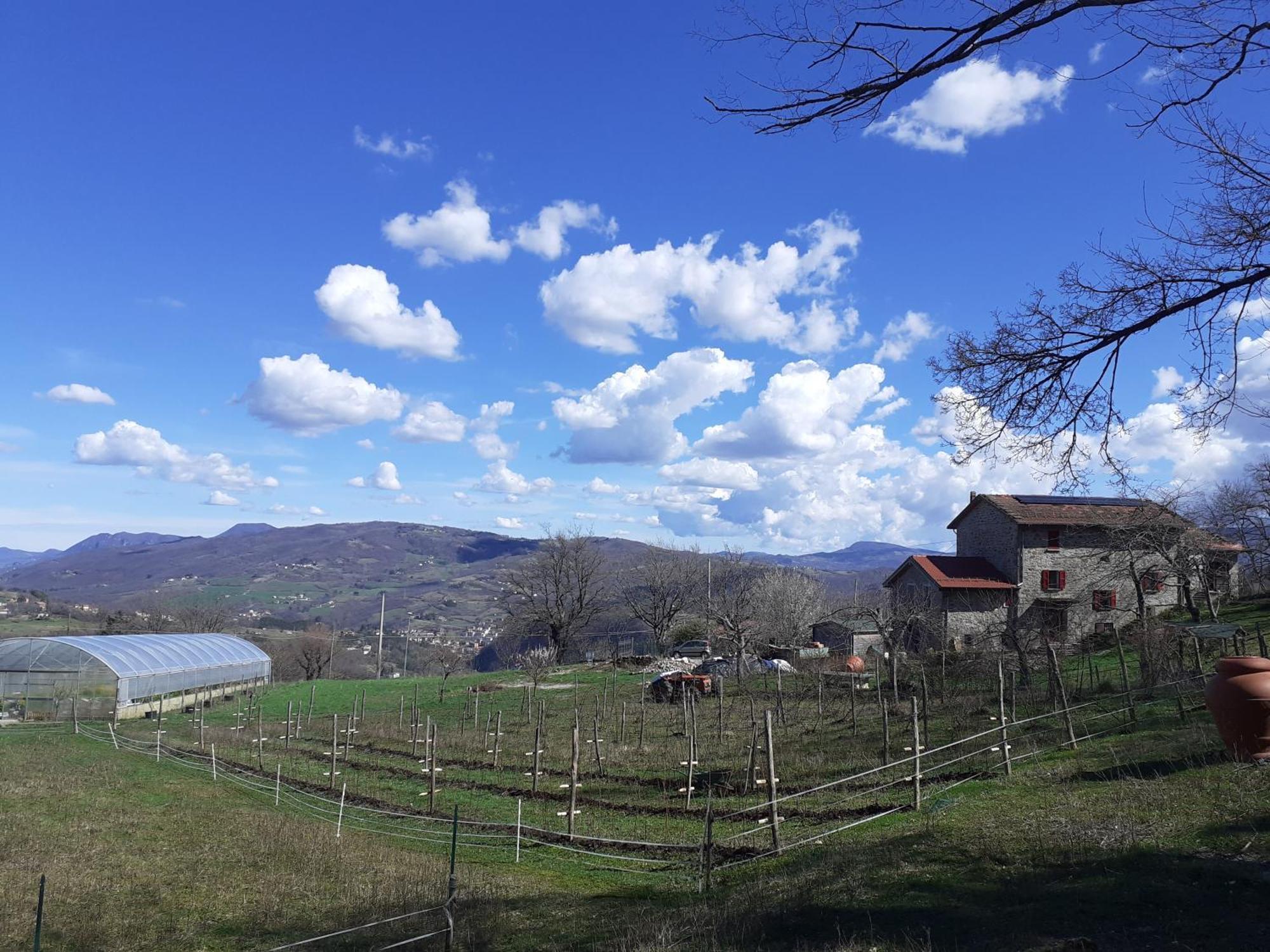 Ca Gennara Agri B&B Porretta Terme Εξωτερικό φωτογραφία