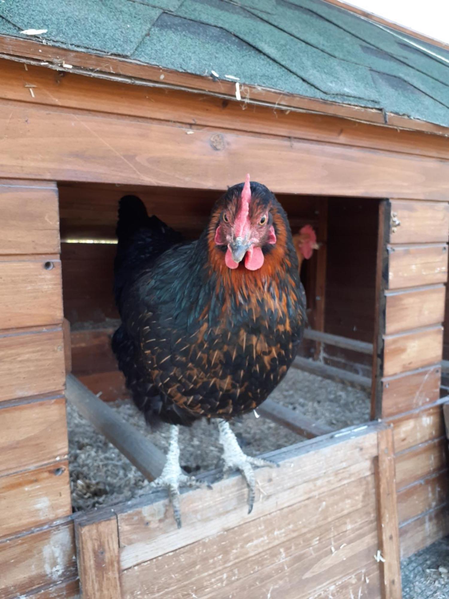 Ca Gennara Agri B&B Porretta Terme Εξωτερικό φωτογραφία